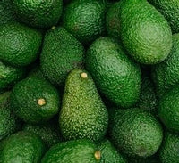 Avocados Organically Grown